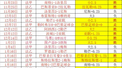 德约科维奇见证门希克蜕变传奇，成就辉煌瞩目